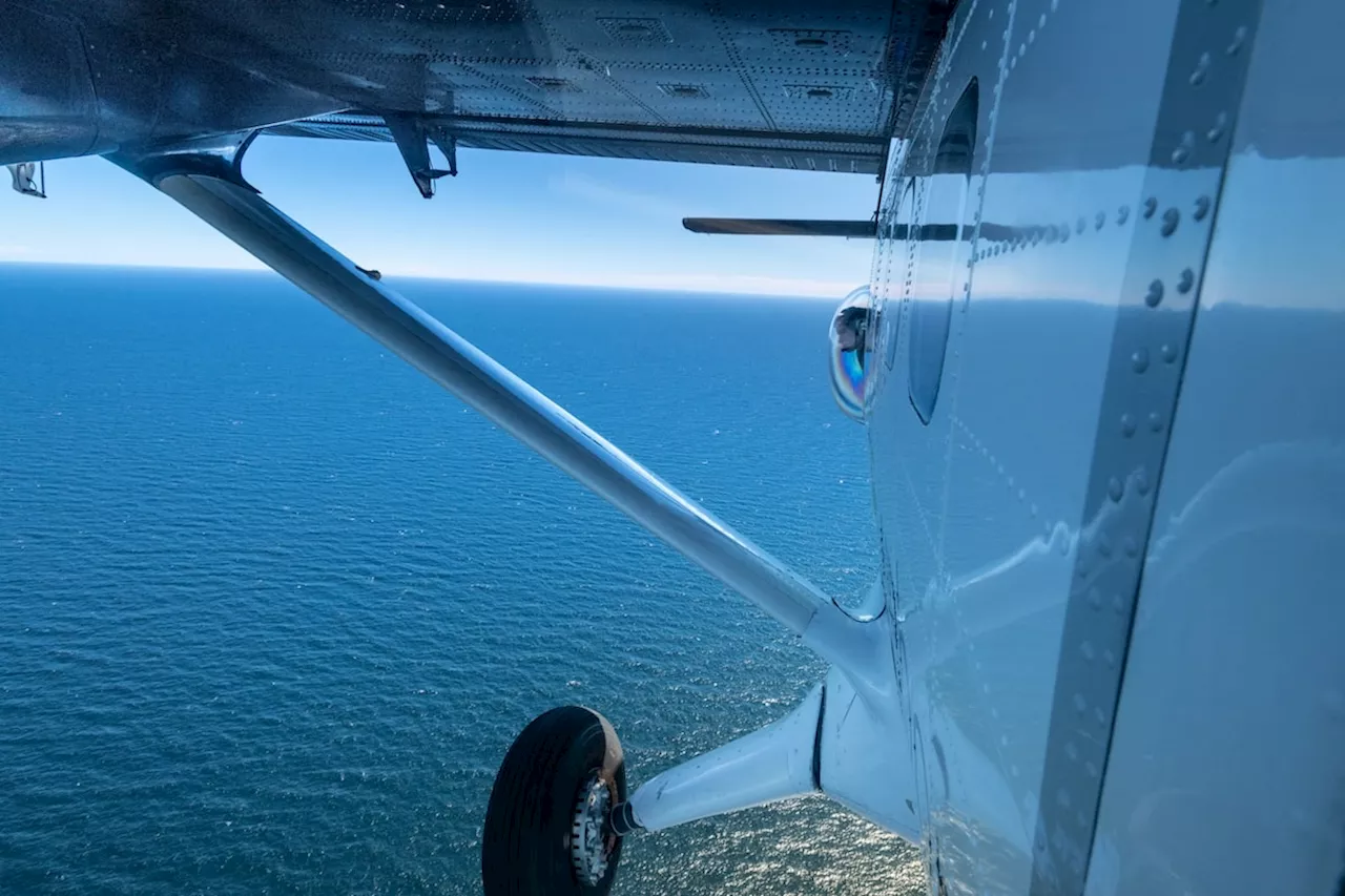 To keep eyes on North Atlantic right whales, scientists must first tackle perennial issues of plane safety