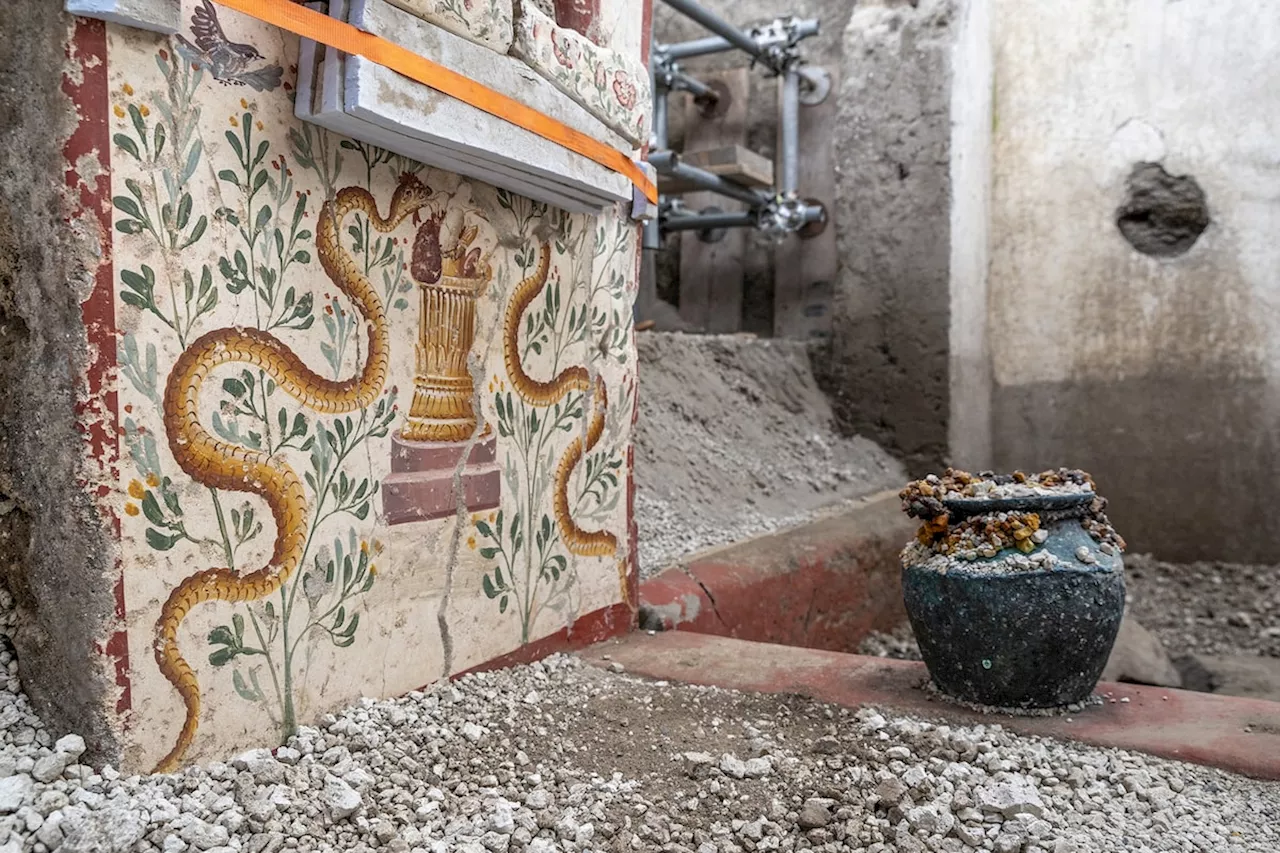 Archeologists in ancient Roman city of Pompeii uncover tiny house with exquisite frescoes