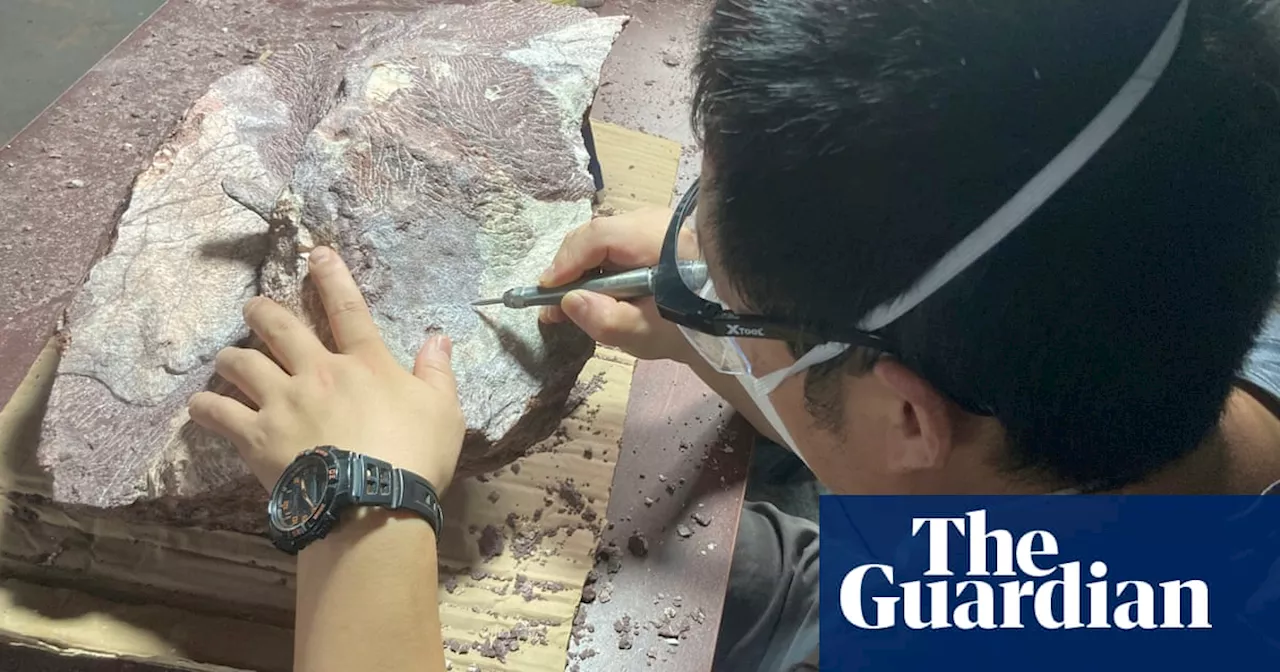 Hong Kong unearths its first ever dinosaur fossils