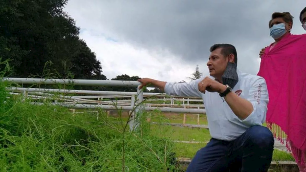 Alejandro Armenta: alineada al Programa Nacional de Soberanía Alimentaria, la transformación del campo en Puebla