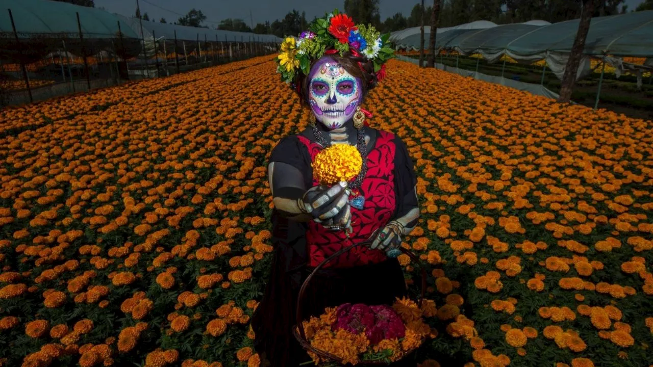 Este es el profundo significado de las flores que se ponen en los altares