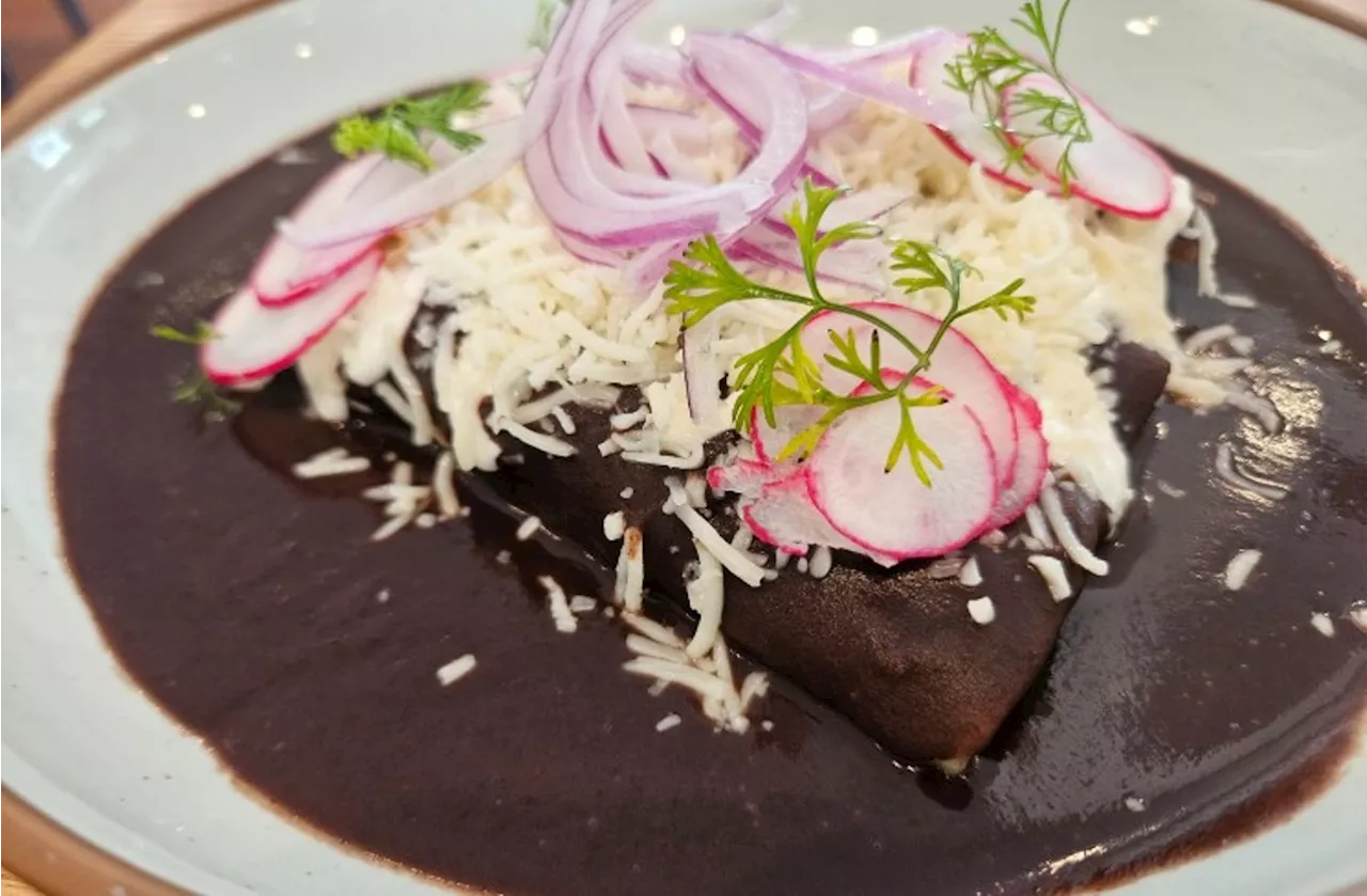 Best Of Houston® 2024: Best Enchiladas