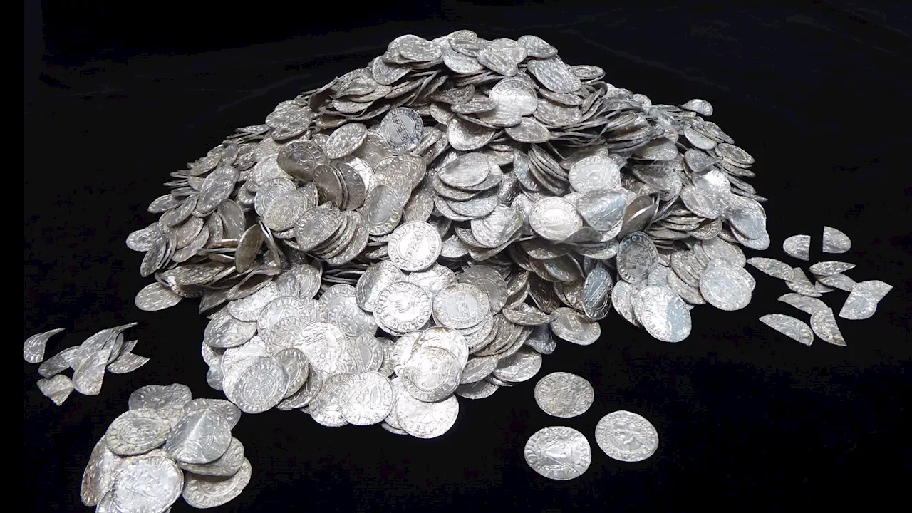 Largest treasure in British history: Amateurs discover 950-year-old coin hoard