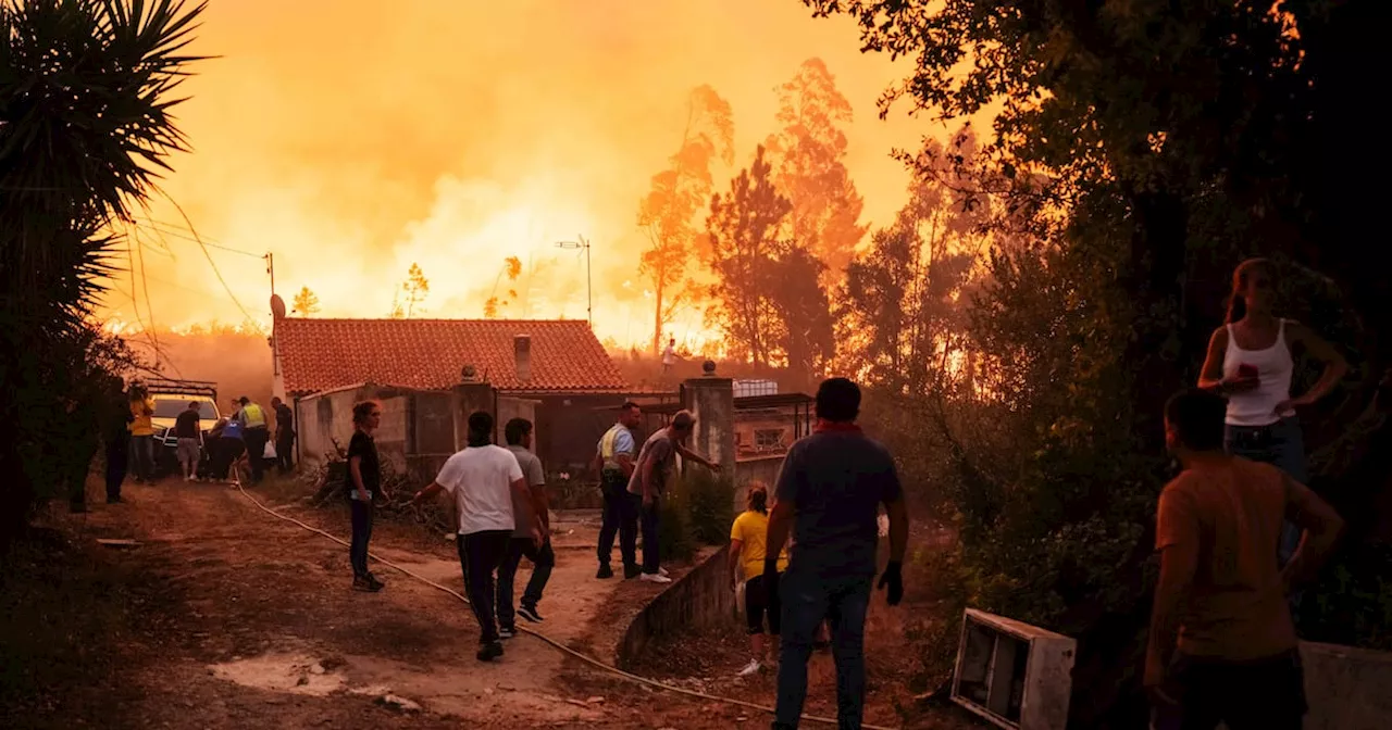 Climate policies point to ‘catastrophic rise’ in global temperature, says UN report