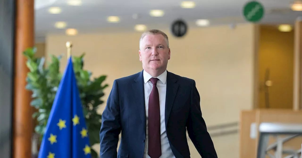 Michael McGrath details his plans for EU role, from Orban to online influencers