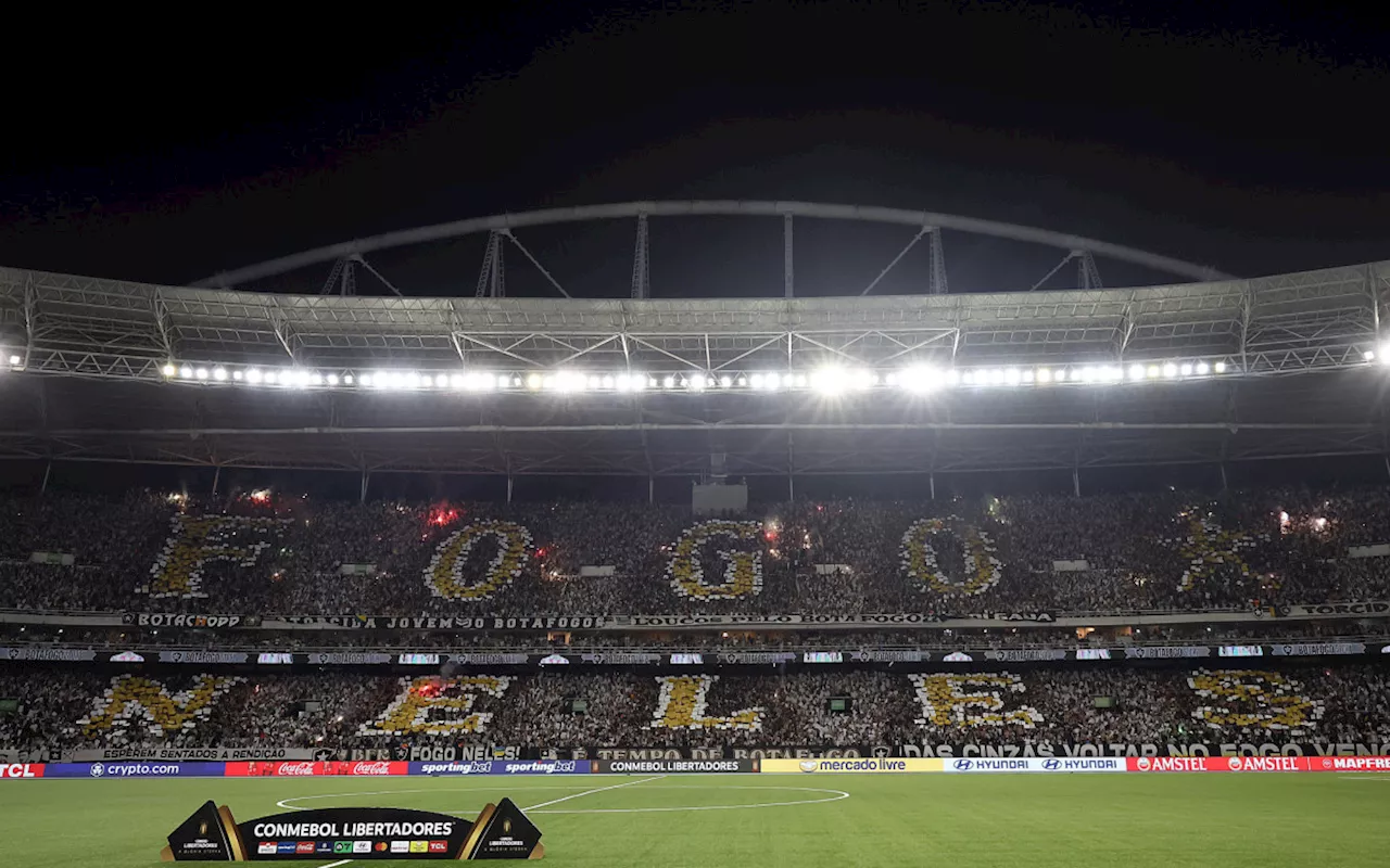 Torcedores do Botafogo nas redes vão à loucura após noite mágica na Libertadores