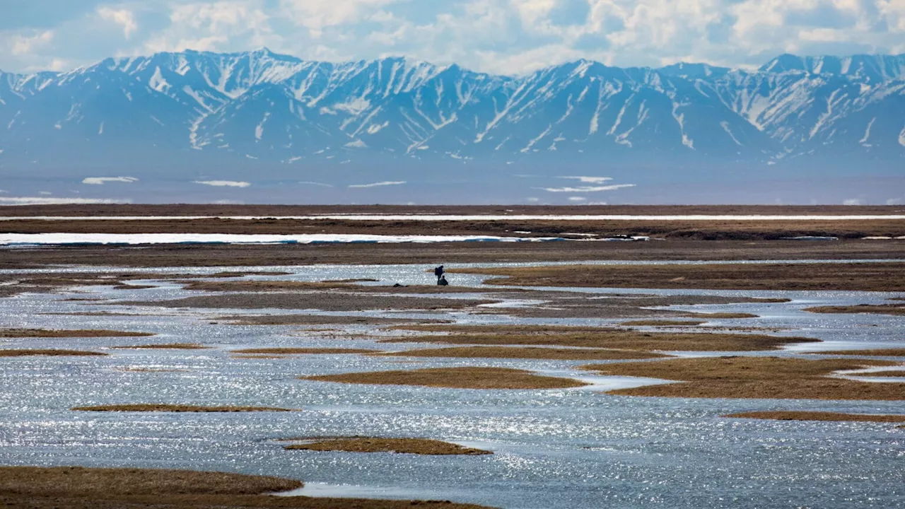 State-owned Alaska corporation approves up to $20 million for potential Arctic refuge oil bid