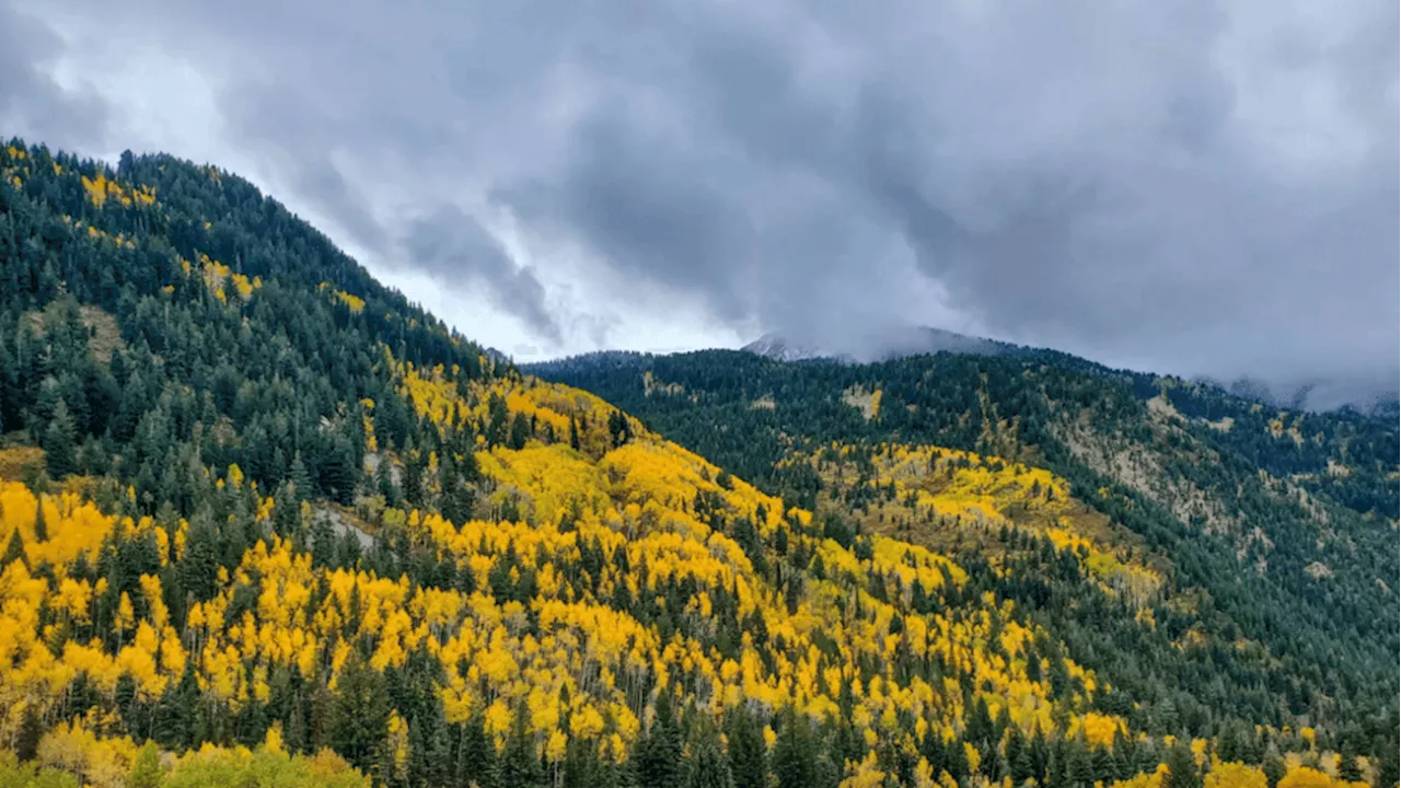 Cold front to bring fall weather to Utah just in time for Halloween