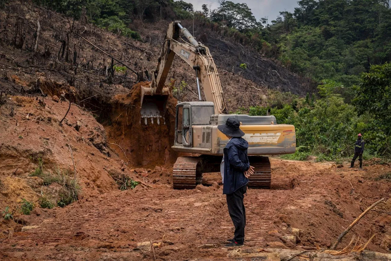 Mines d'or: les sociétés chinoises dans le collimateur en RDC