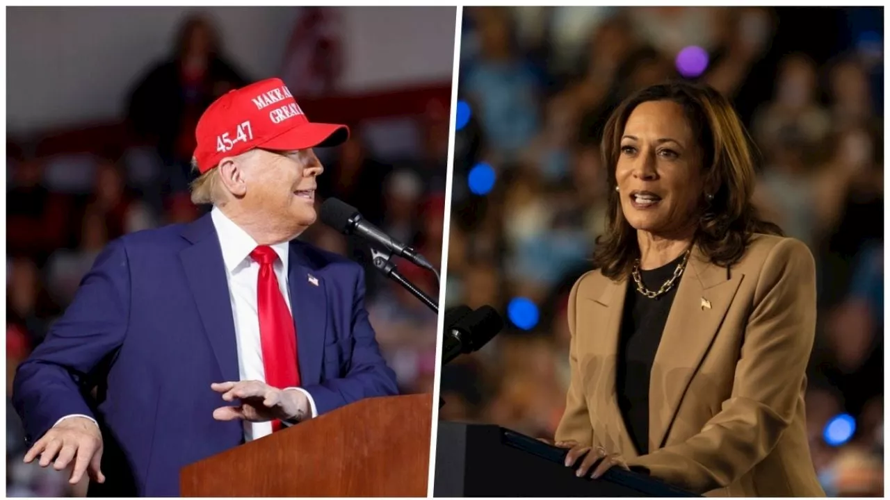 Celebridades entran con todo en la cerrada contienda entre Kamala Harris y Trump