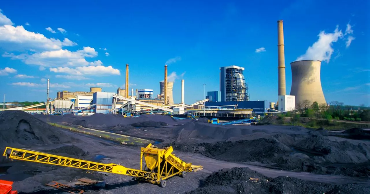 Crise énergétique, désaccords... L’impossible reconversion à la biomasse des centrales à charbon françaises