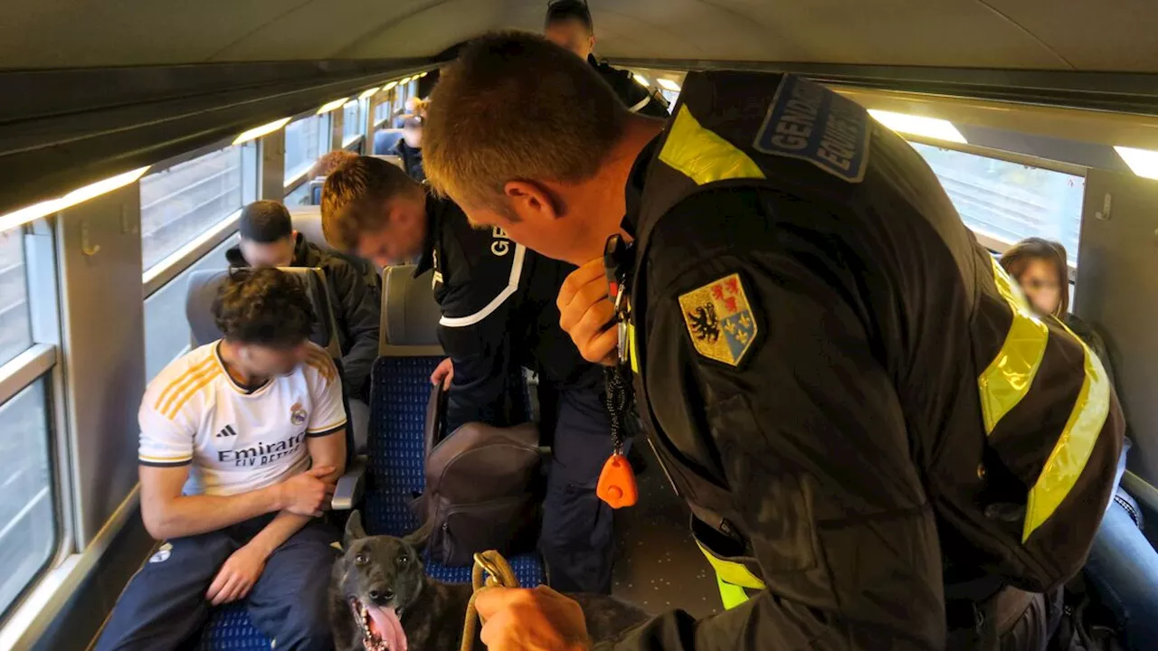 Avec les gendarmes mobiles qui traquent les détenteurs de drogue dans les trains Creil-Paris