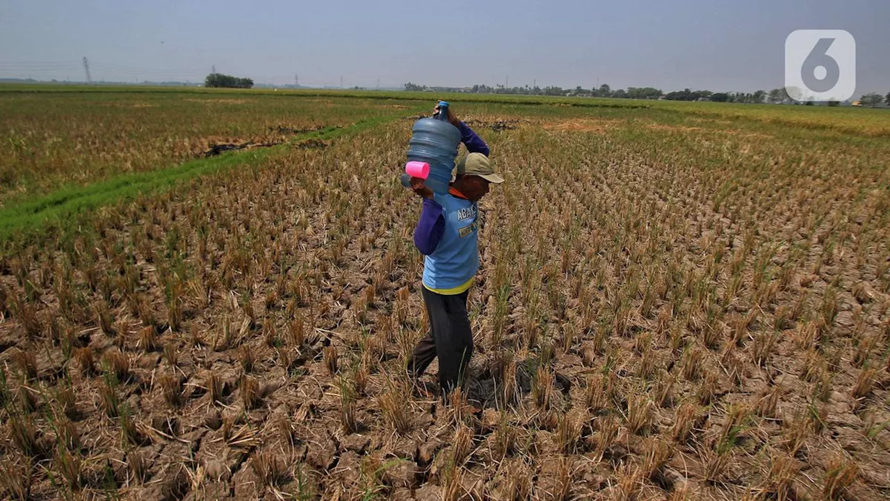 Bank Dunia Sebar Rp 140,2 Triliun untuk Sektor Agrikultur Mulai 2030