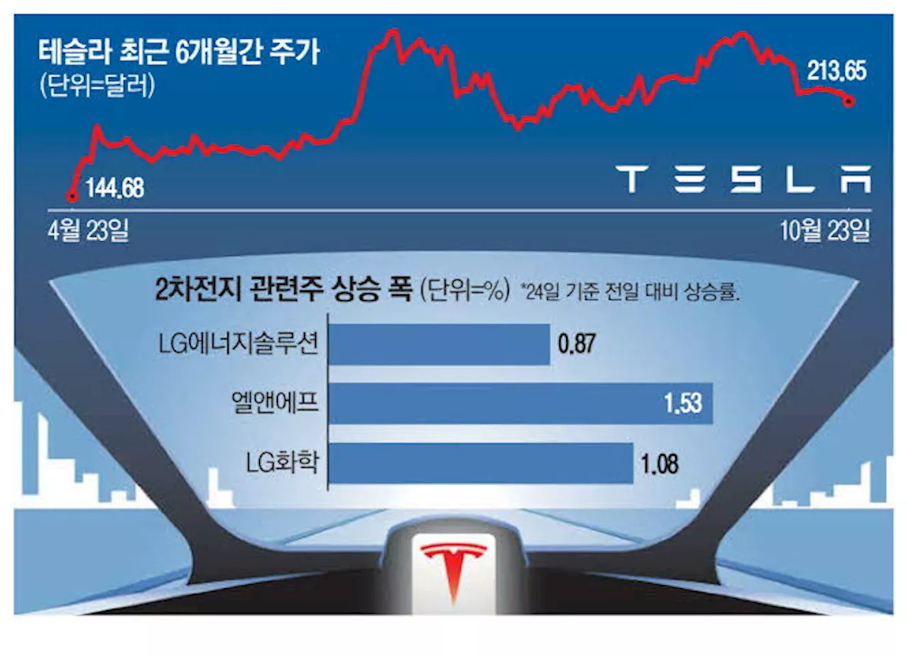 '깜짝 실적' 테슬라 질주에도…韓 2차전지株 온도차