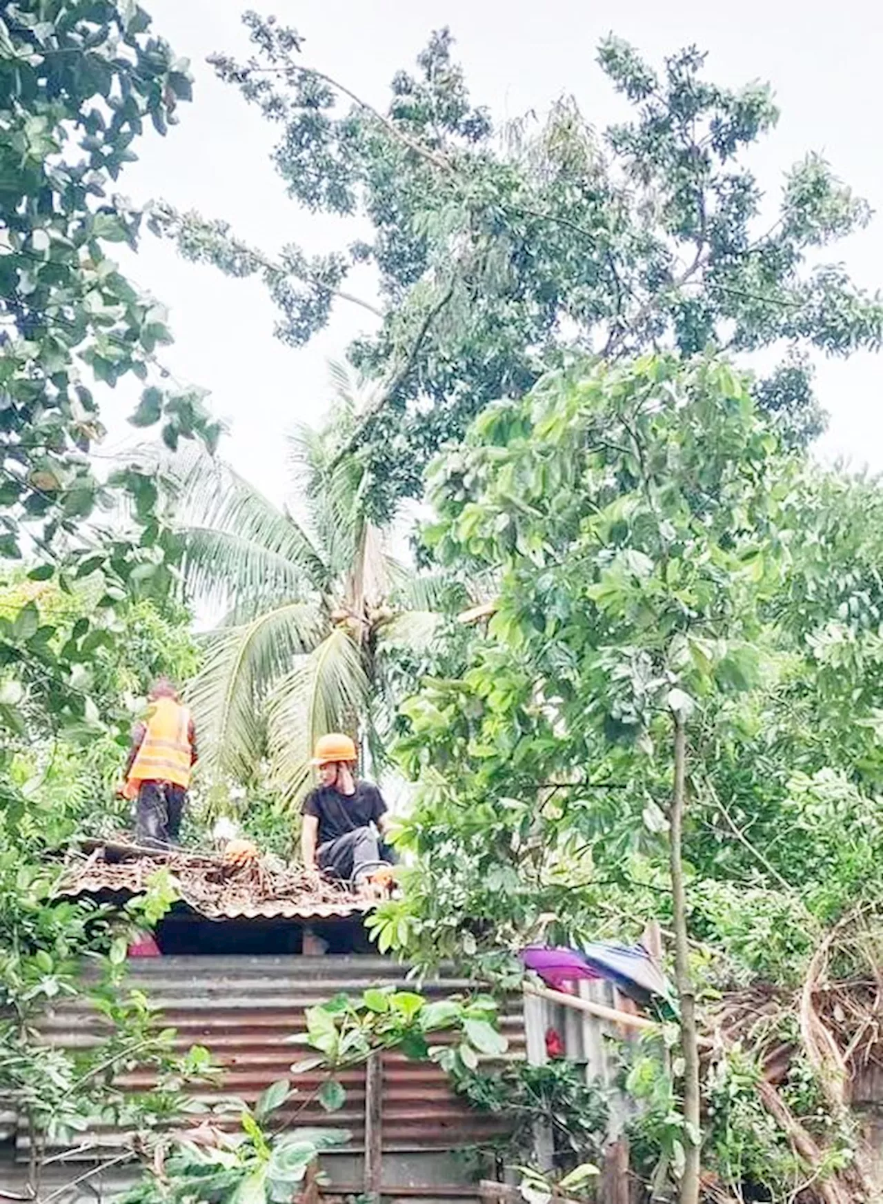 Negros Occidental logs P3.9-M damage to agriculture from ‘Kristine’