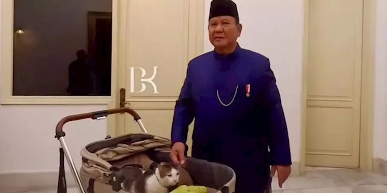 Berapa Harga Stroller Milik Bobby Kertanegara, Kucing Peliharaan Prabowo?