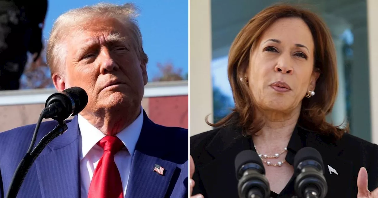 Polling guru reveals his 'gut' prediction on Trump or Harris winning