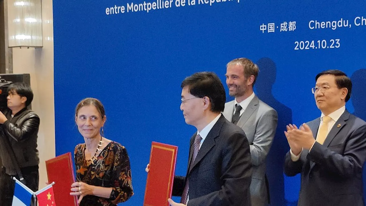 Arts asiatiques : Montpellier choisie pour accueillir un 'Guimet +' en 2025