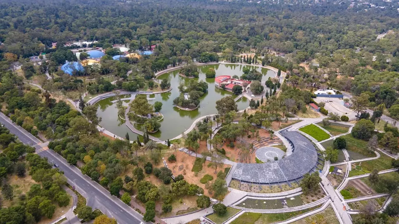 'Vamos a defender al Bosque de Chapultepec': Brugada se pronuncia contra el cambio de uso de suelo