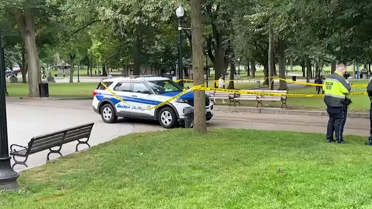 Boston Common ‘should be the nicest place in the city,' but many raise safety concerns