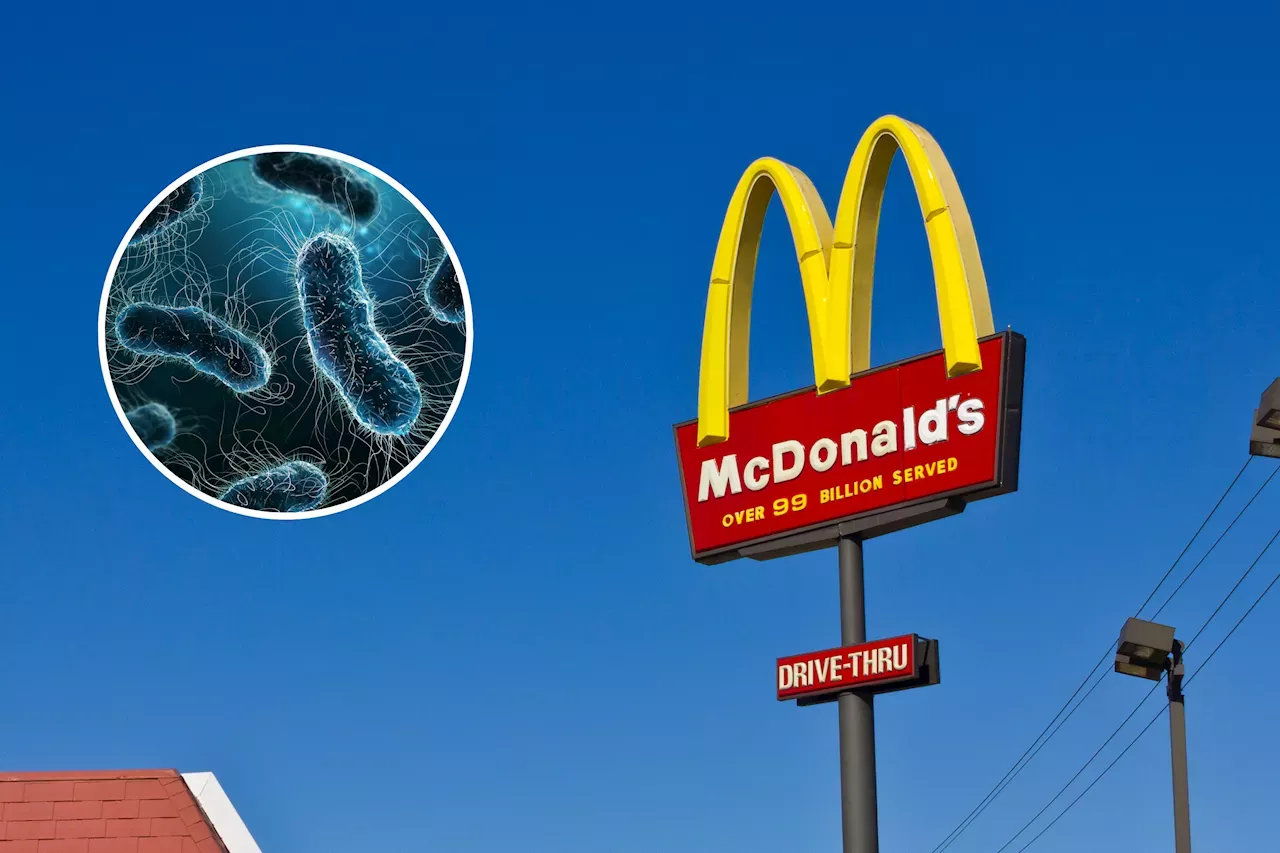 E. Coli Explained Following Fatal McDonald's Outbreak United States