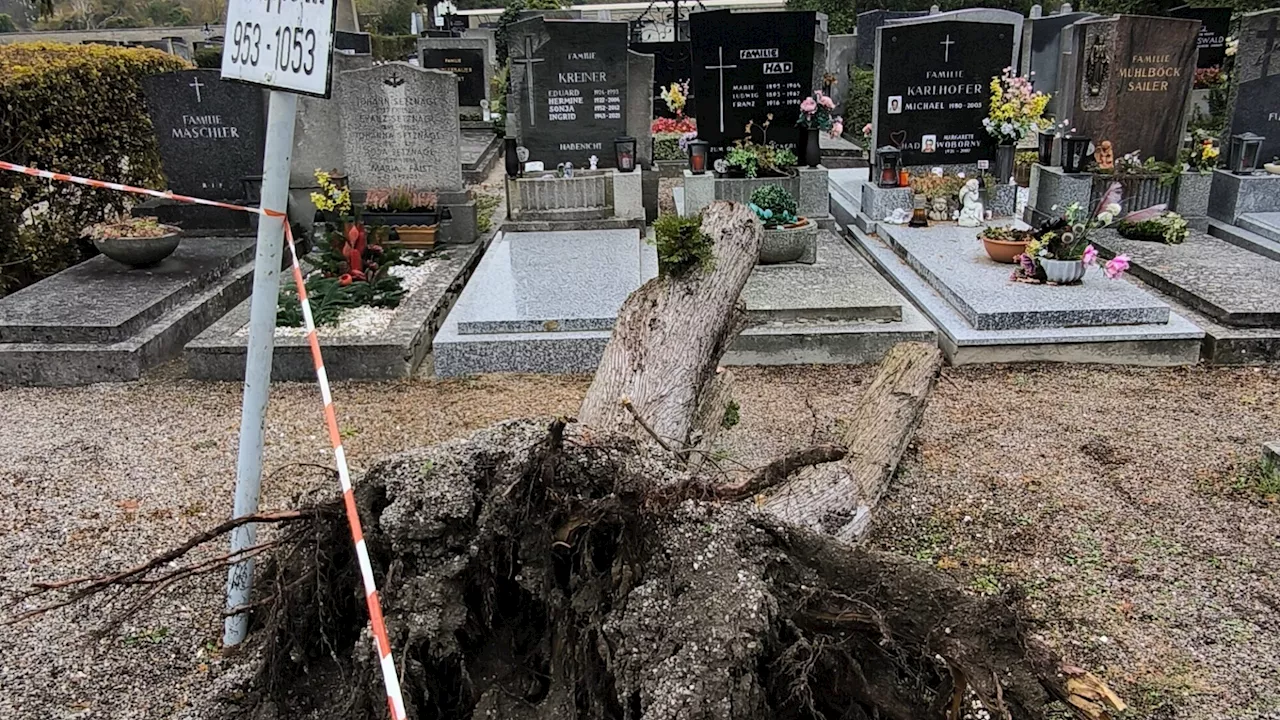 Bad Vöslau: Friedhof bald wieder uneingeschränkt begehbar