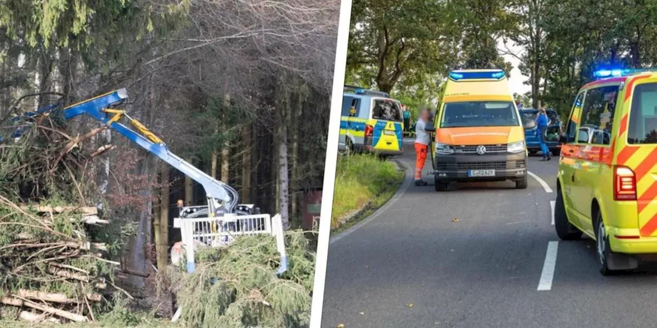 Tödlicher Arbeitsunfall In Bayern: 25-Jähriger Von Baum Erschlagen ...