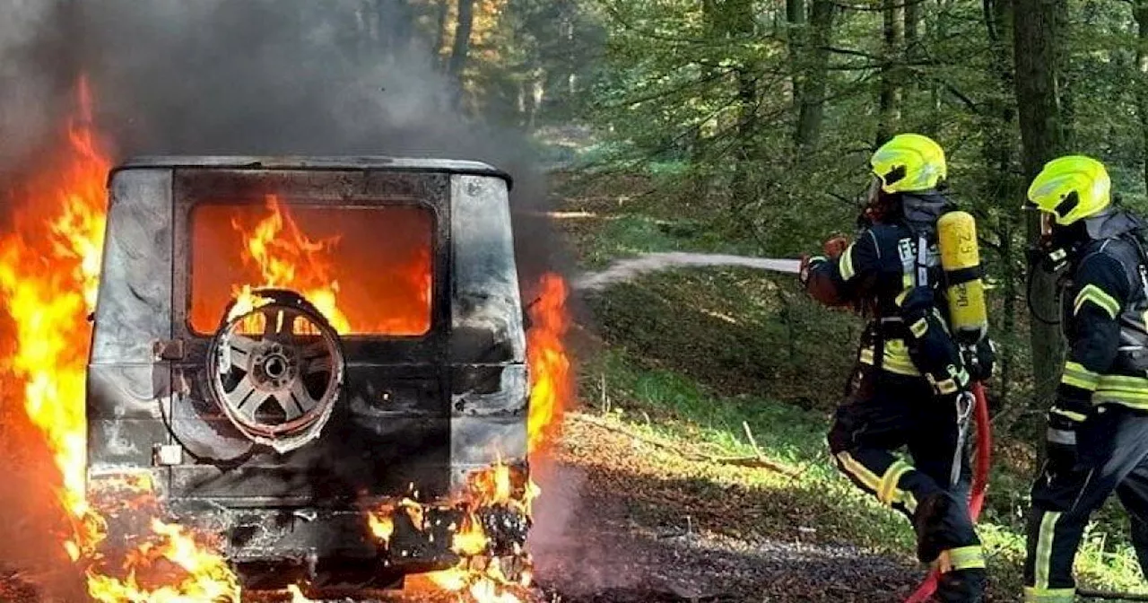 Auto geht in Wald im Kreis Gütersloh plötzlich in Flammen auf