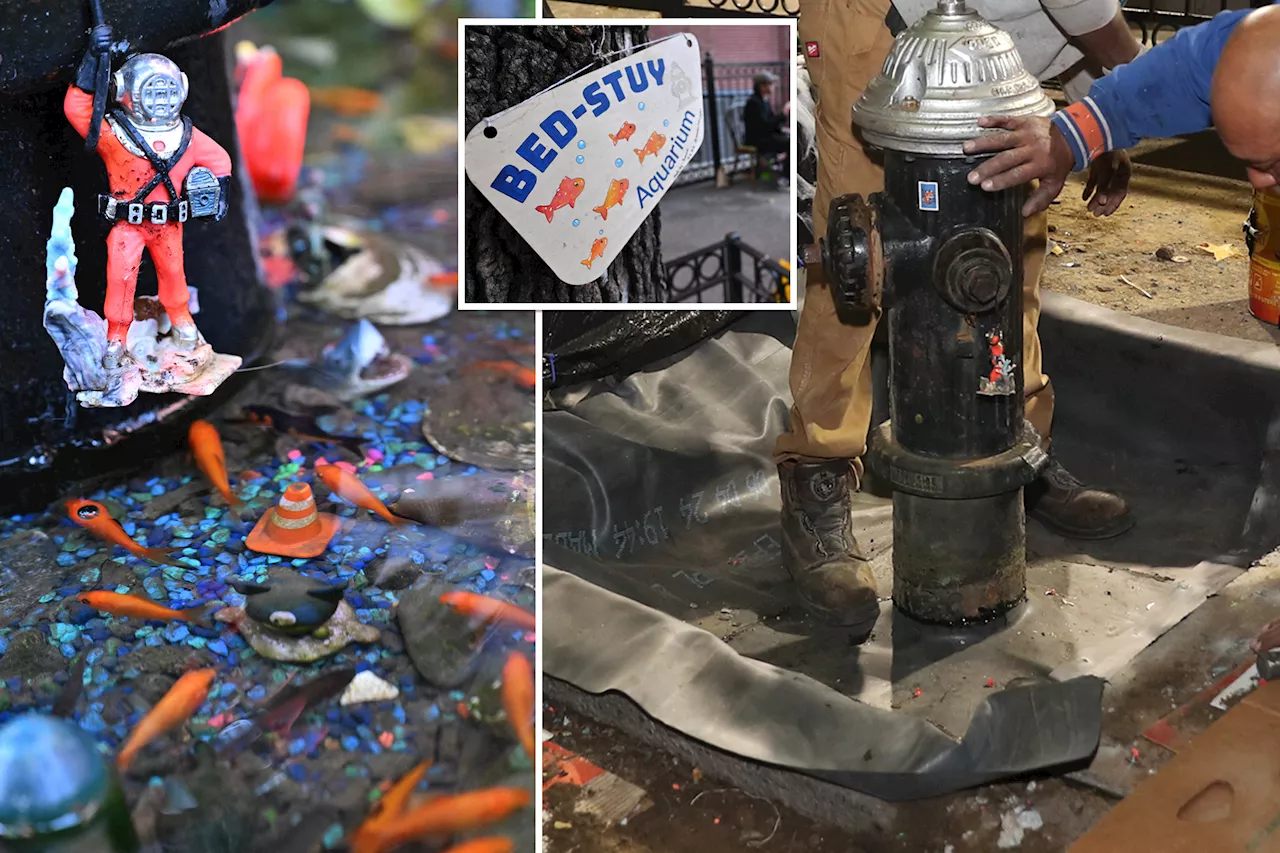 Bed-Stuy aquarium wrecked during FDNY hydrant inspection, organizers already rebuilding