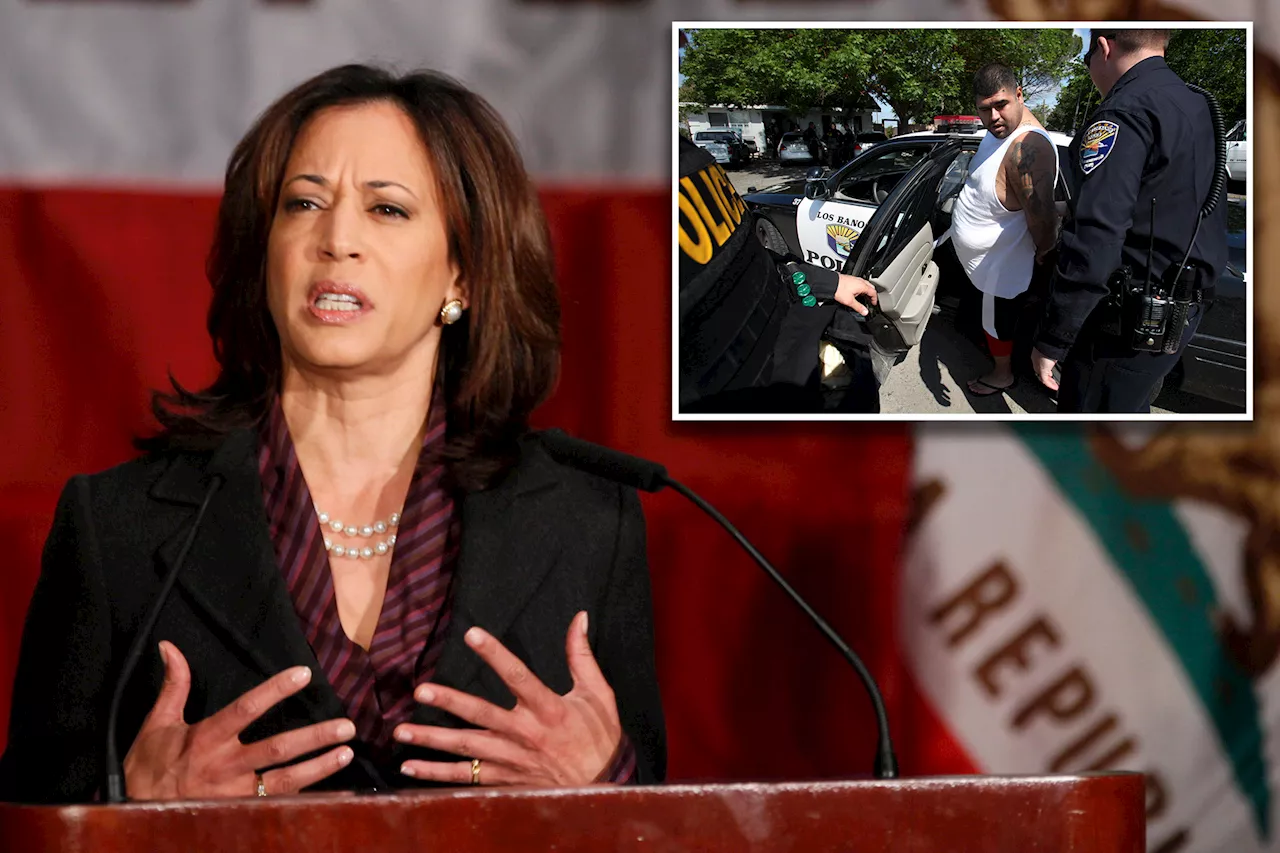 Kamala Harris is the 'original defunder of the police' for shutting down California drug task force, ex-members say