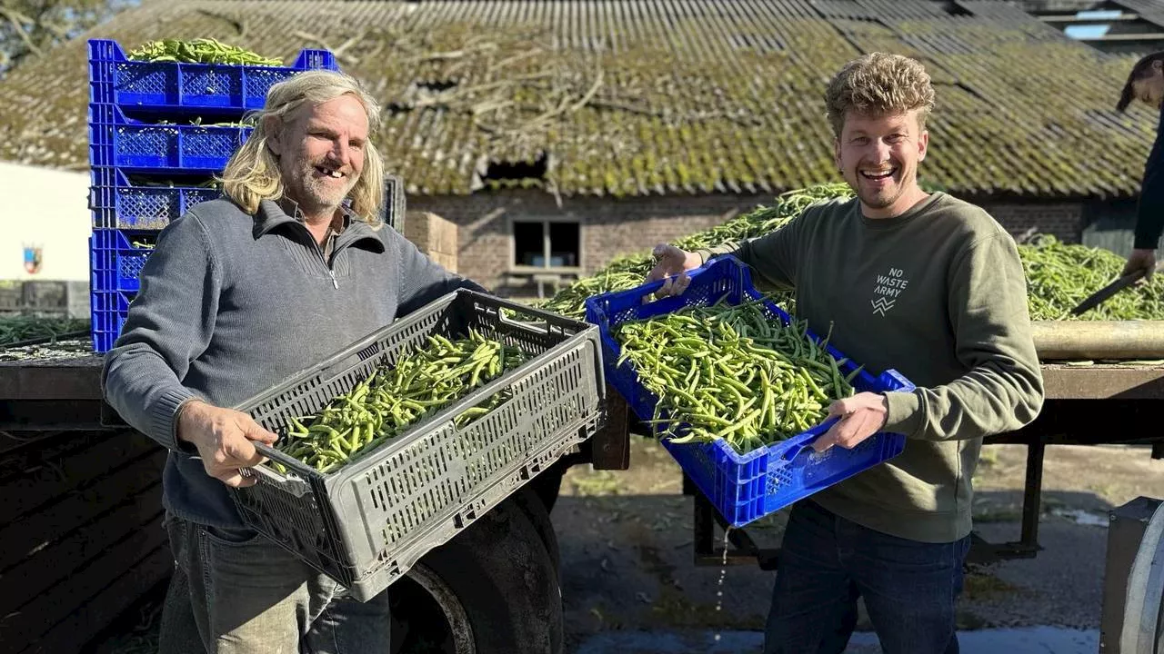 Boer Kees verlost van 100.000 kilo bonen: ‘Mensen liepen af en aan’