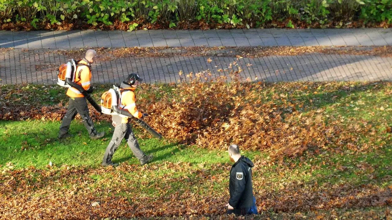 Laat blaadjes liggen en gebruik geen bladblazer, roept boswachter Frans op