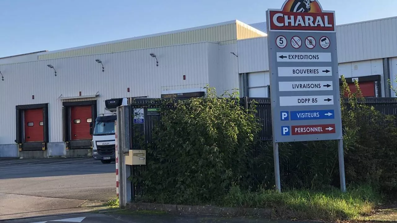 Restructuration de Charal à Sablé : l’abattage des bovins réparti dans quatre sites de l’Ouest