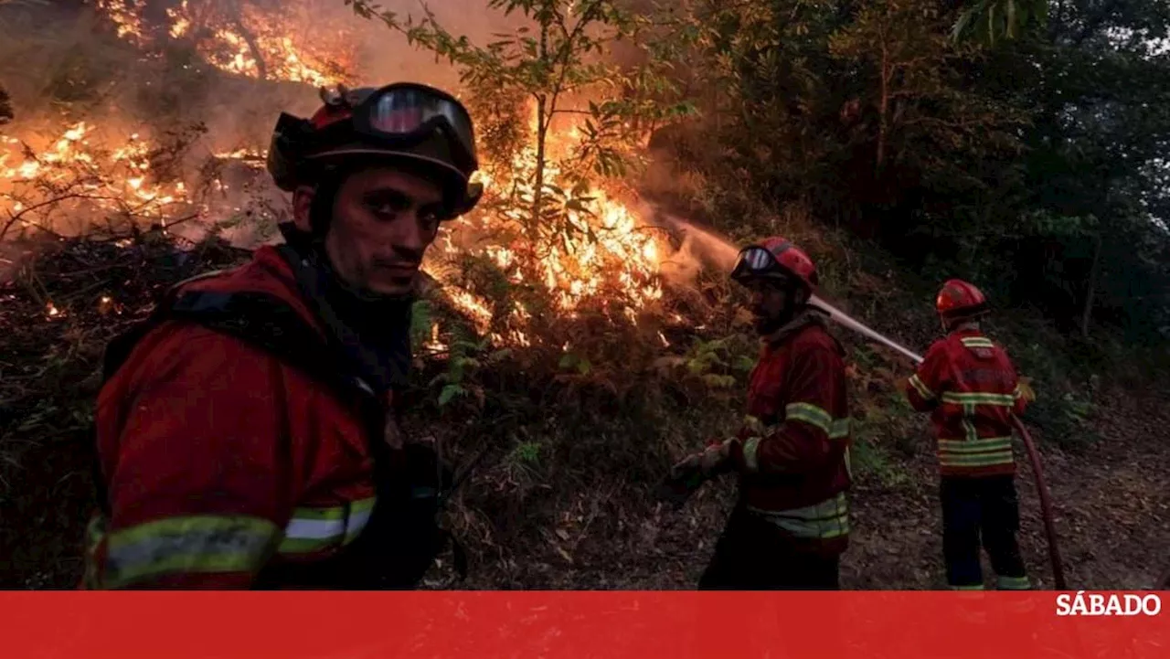 Incêndios: Prisão preventiva para suspeito de atear fogo em Vila Pouca de Aguiar