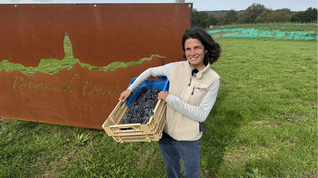 Le Domaine Doriémont est l'un des quatre vignobles wallons en biodynamie