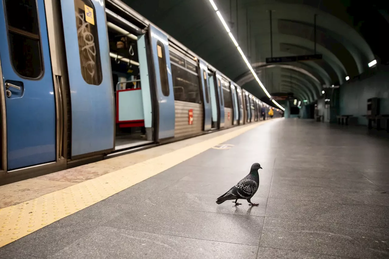 Linha Azul do Metro de Lisboa interrompida devido a avaria