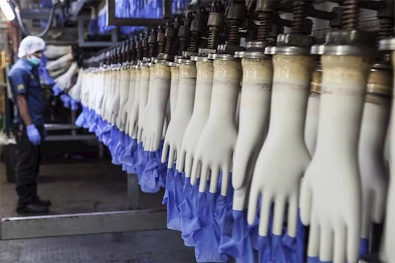 Glove makers to pass on rising costs to customers