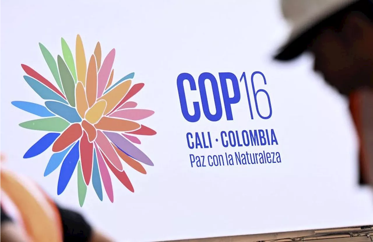 La COP16 de Cali peut-elle vraiment enrayer l’effondrement de la biodiversité ?