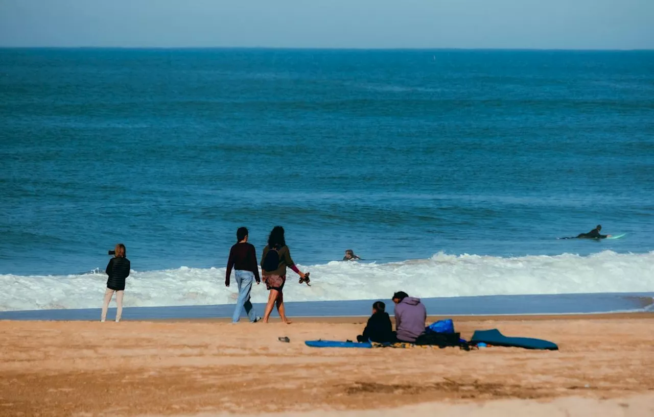 « On a la plage pour nous tout seuls » : des vacances de la Toussaint au parfum d’été sur le littoral landais