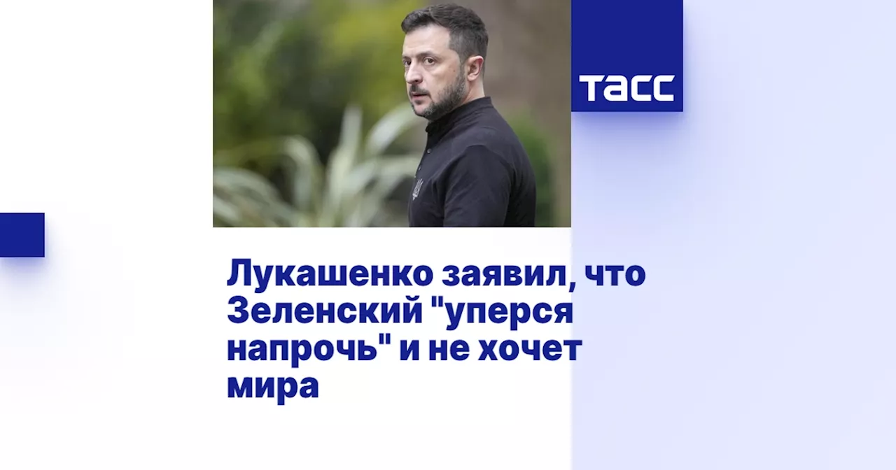 Лукашенко заявил, что Зеленский 'уперся напрочь' и не хочет мира