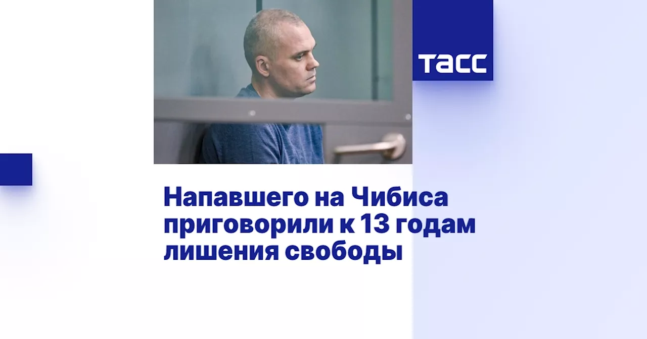 Напавшего на Чибиса приговорили к 13 годам лишения свободы