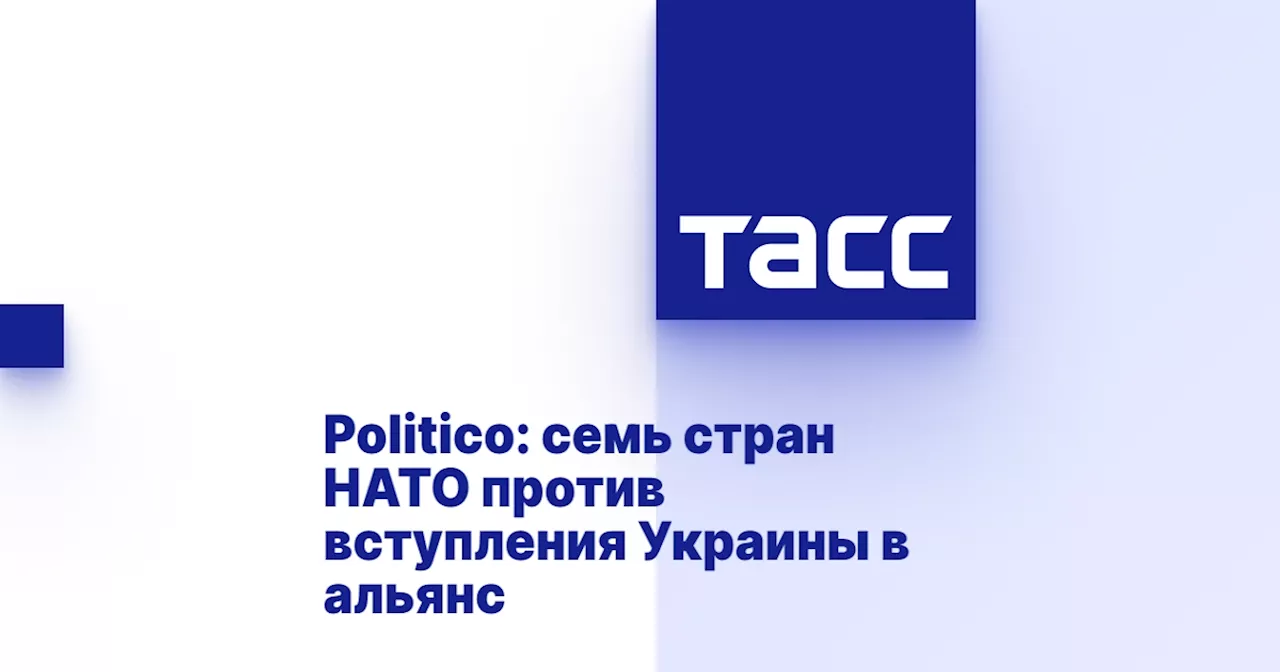 Politico: семь стран НАТО против вступления Украины в альянс