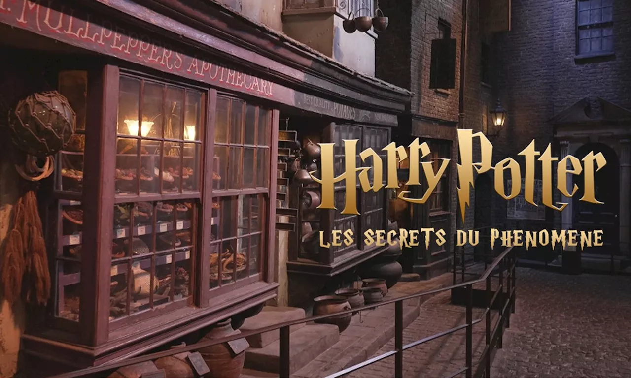 Harry Potter : les secrets du phénomène - Harry Potter : les secrets du phénomène