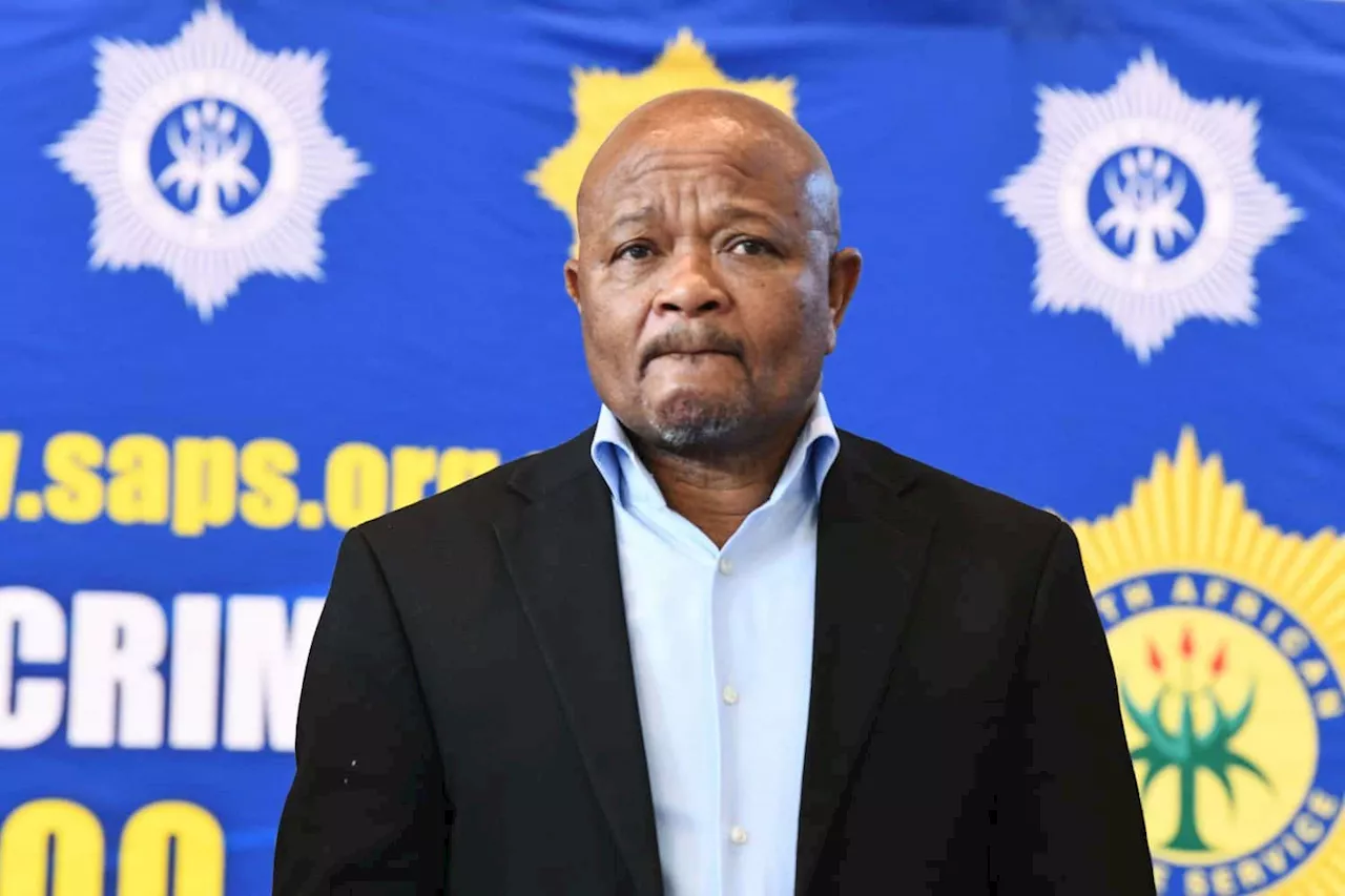 ‘Residents want them flushed out’: Police minister reveals number of ‘criminals’ killed in KZN