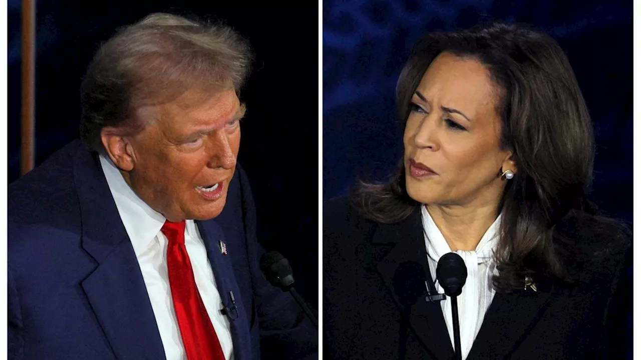 Record voter turnout reveals Trump could chip away at Harris's advantage