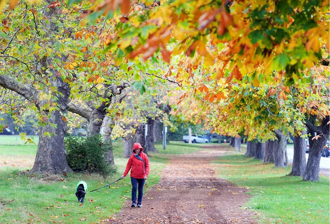 On the Street: Victoria named most sustainable destination in North America