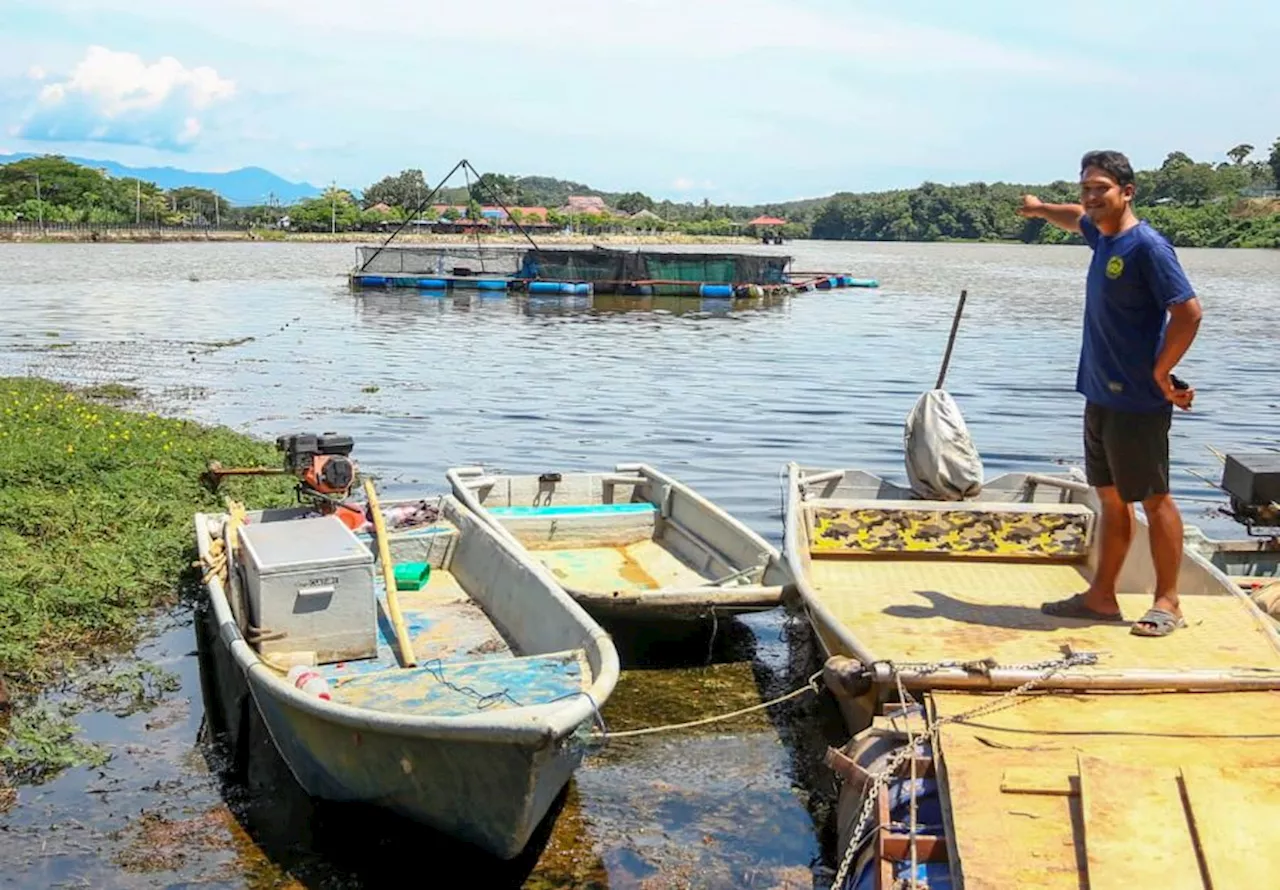 Mendapan mungkin punca Tasik Raban surut