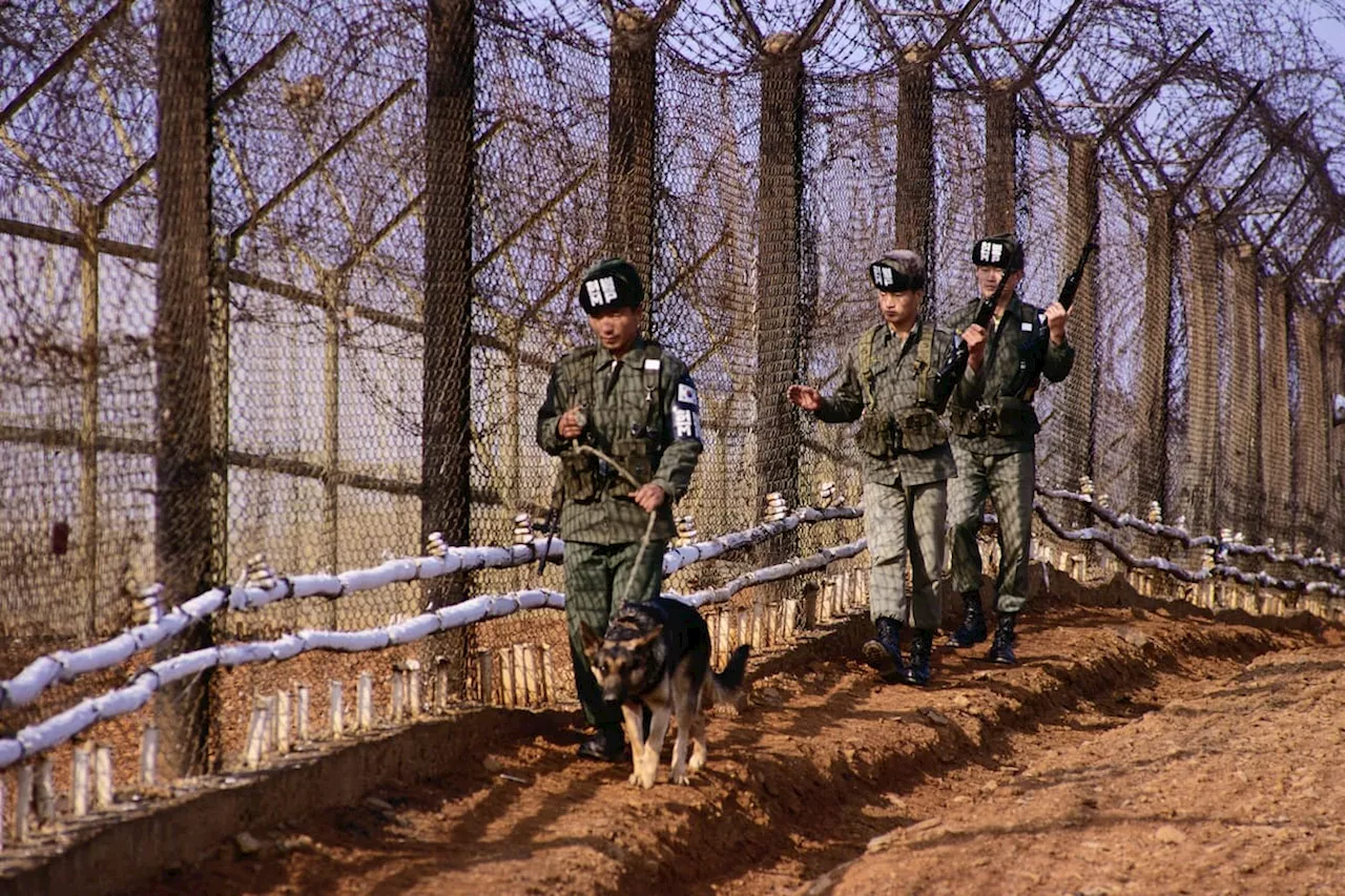 Primeros soldados norcoreanos llegaron a la zona de combate en Kursk, según Ucrania