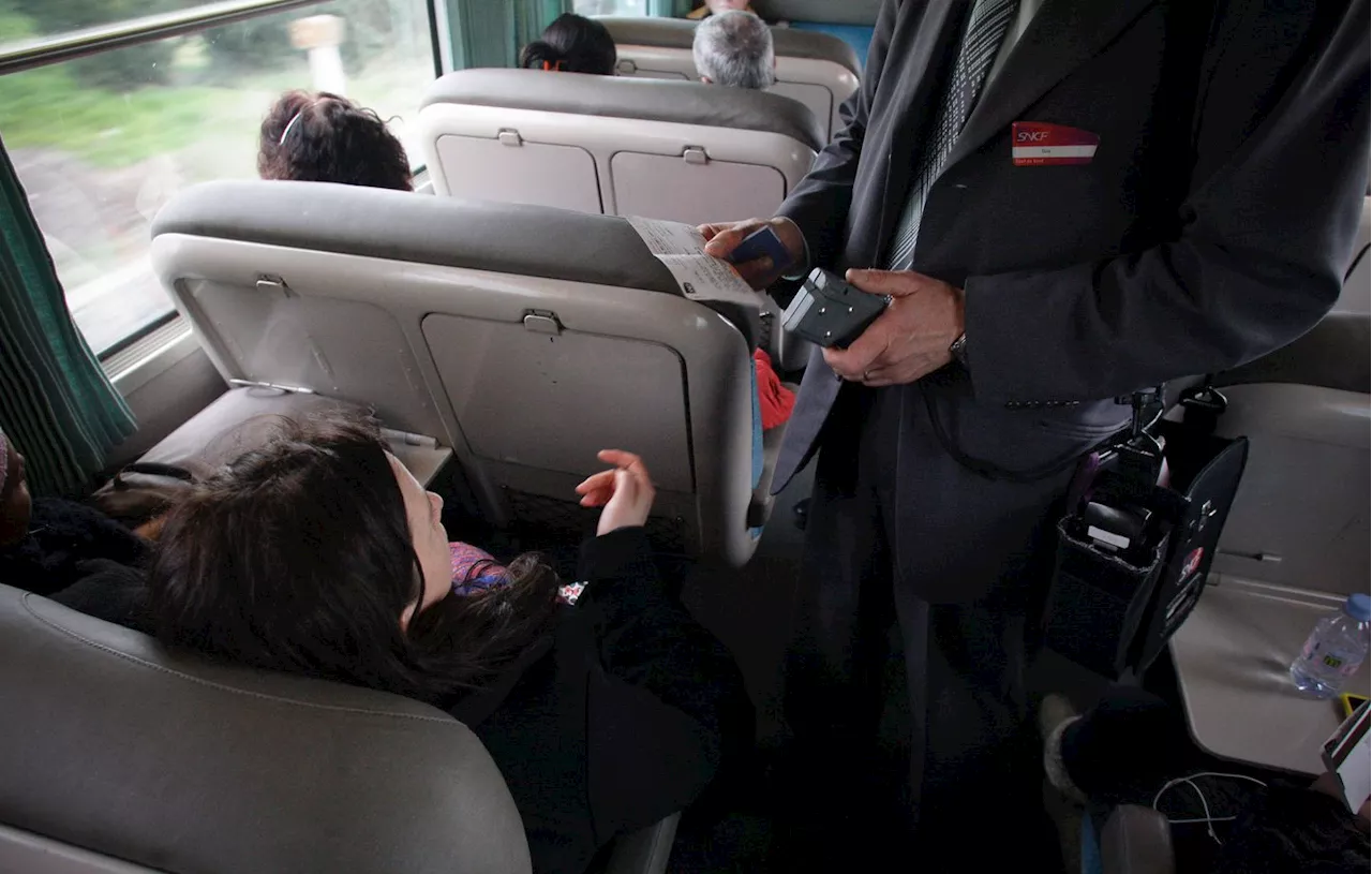 Lot-et-Garonne : Un voyage avec la SNCF tourne mal pour une femme et son chat