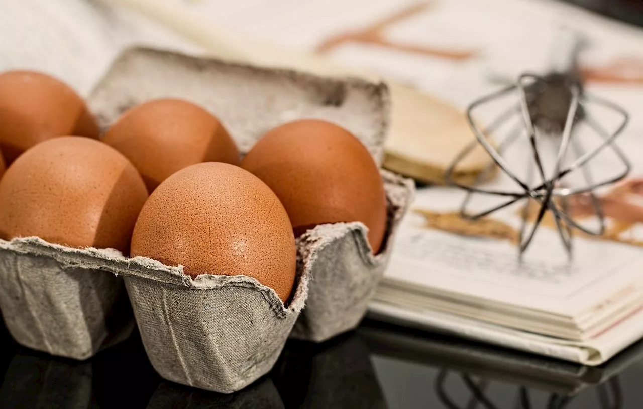 Salmonelles : Des œufs contaminés rappelés dans toute la France par de nombreuses enseignes